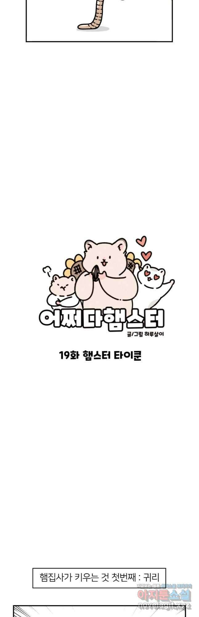 어쩌다 햄스터 19. 햄스터 타이쿤 3