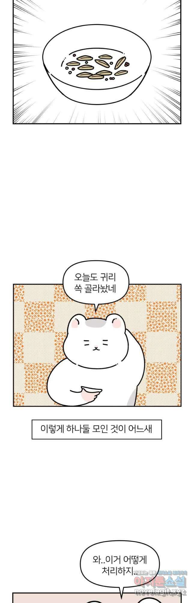 어쩌다 햄스터 19. 햄스터 타이쿤 4