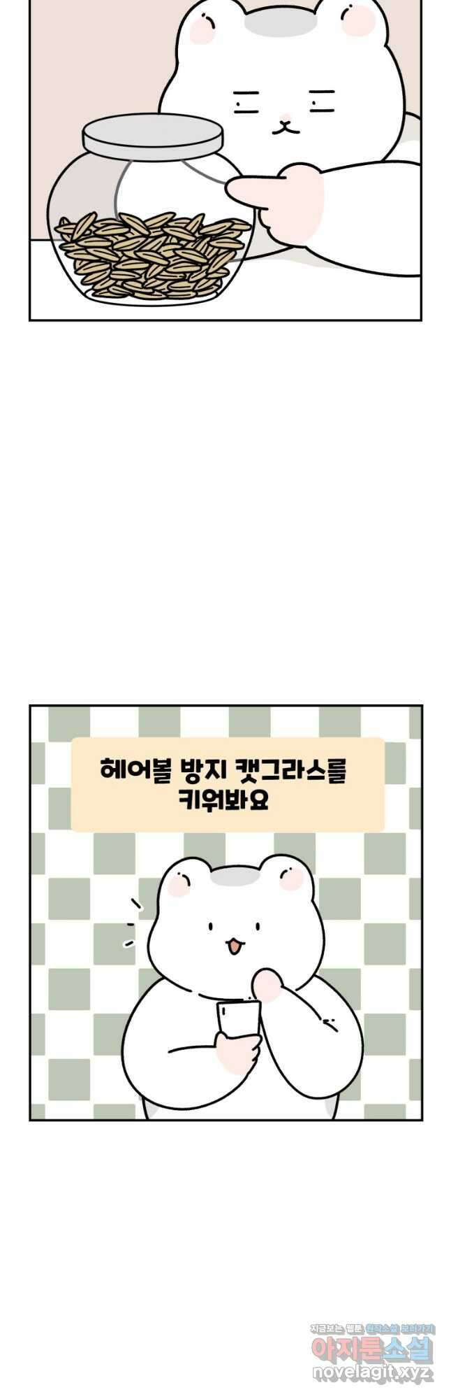 어쩌다 햄스터 19. 햄스터 타이쿤 5
