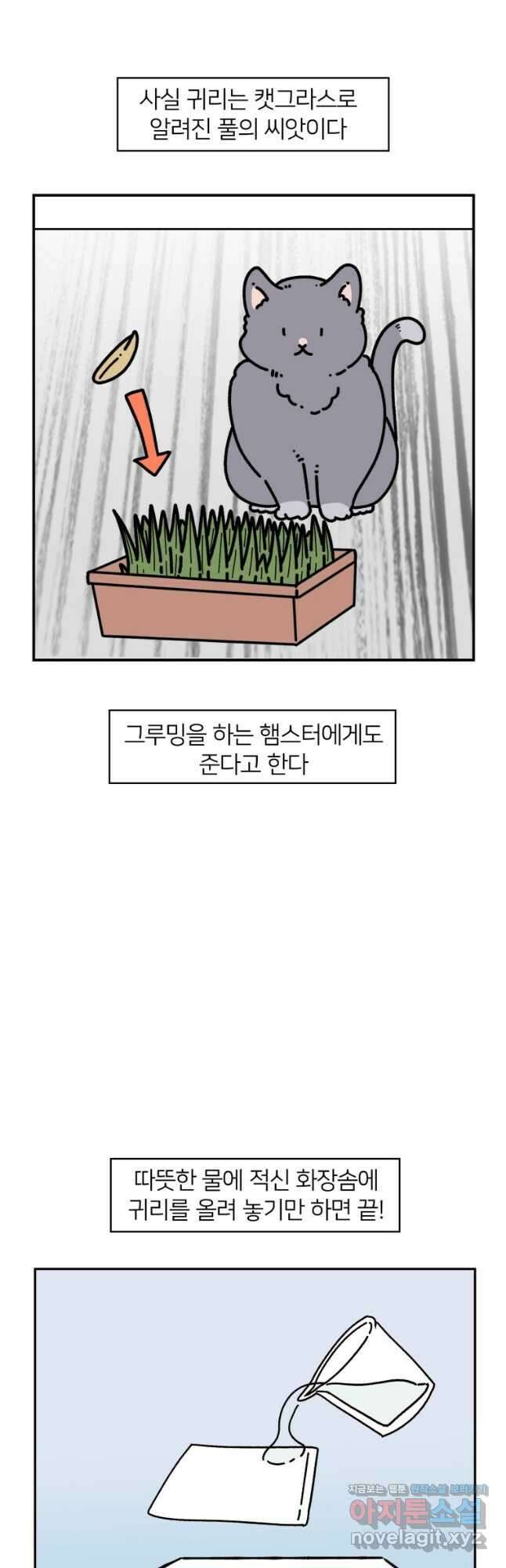 어쩌다 햄스터 19. 햄스터 타이쿤 6