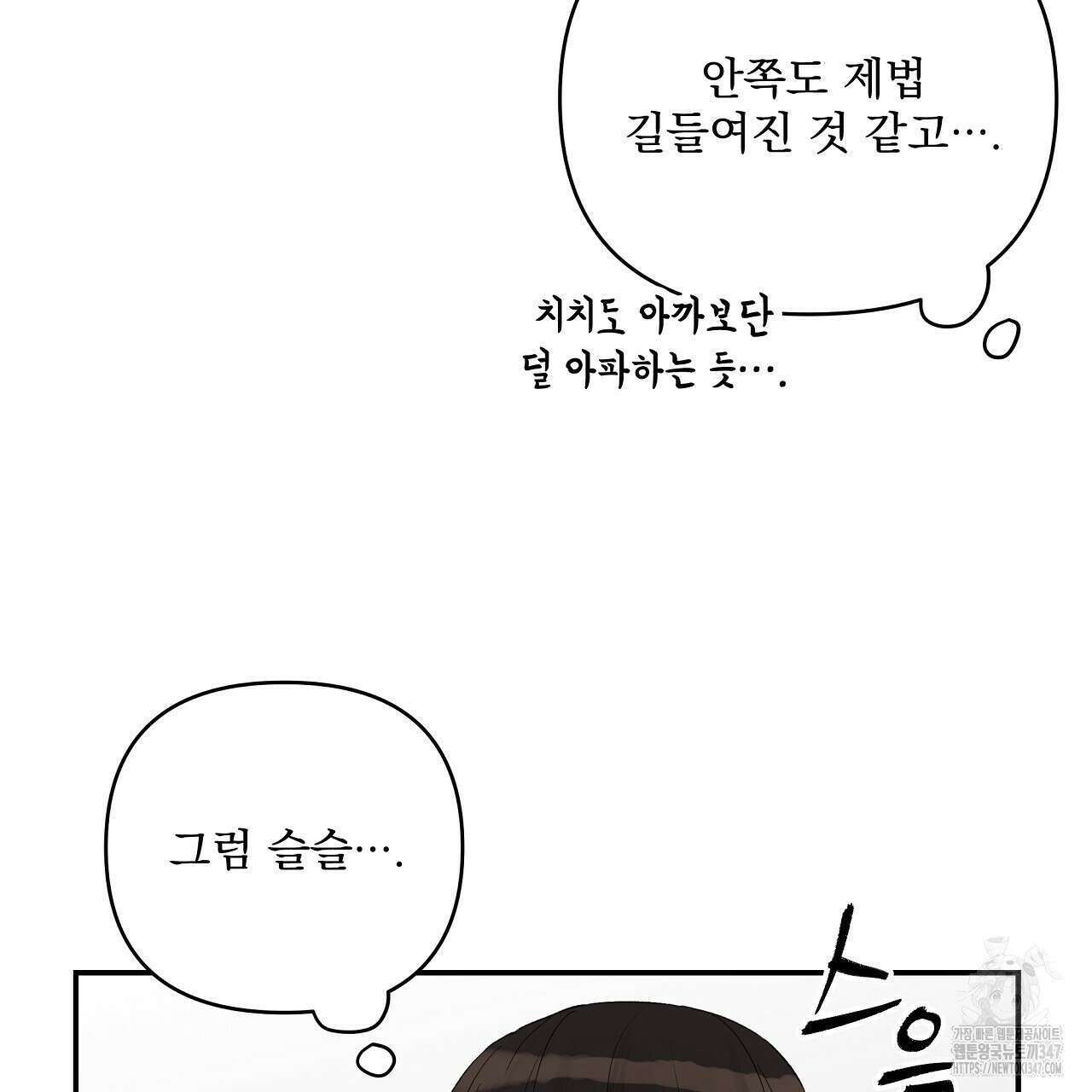 치치 시리즈 26화 37