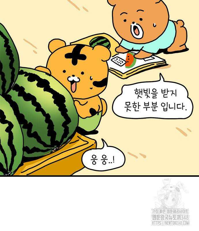 소심한 호랭이 코코 16화 19