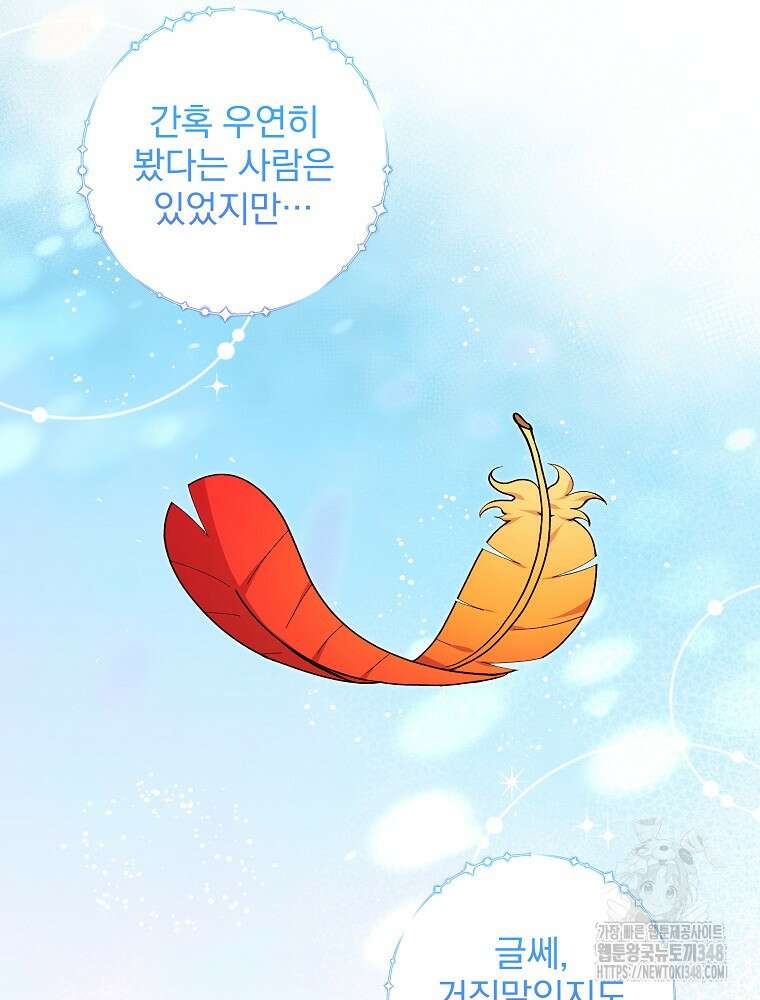 신녀를 믿지 마세요 19화 9
