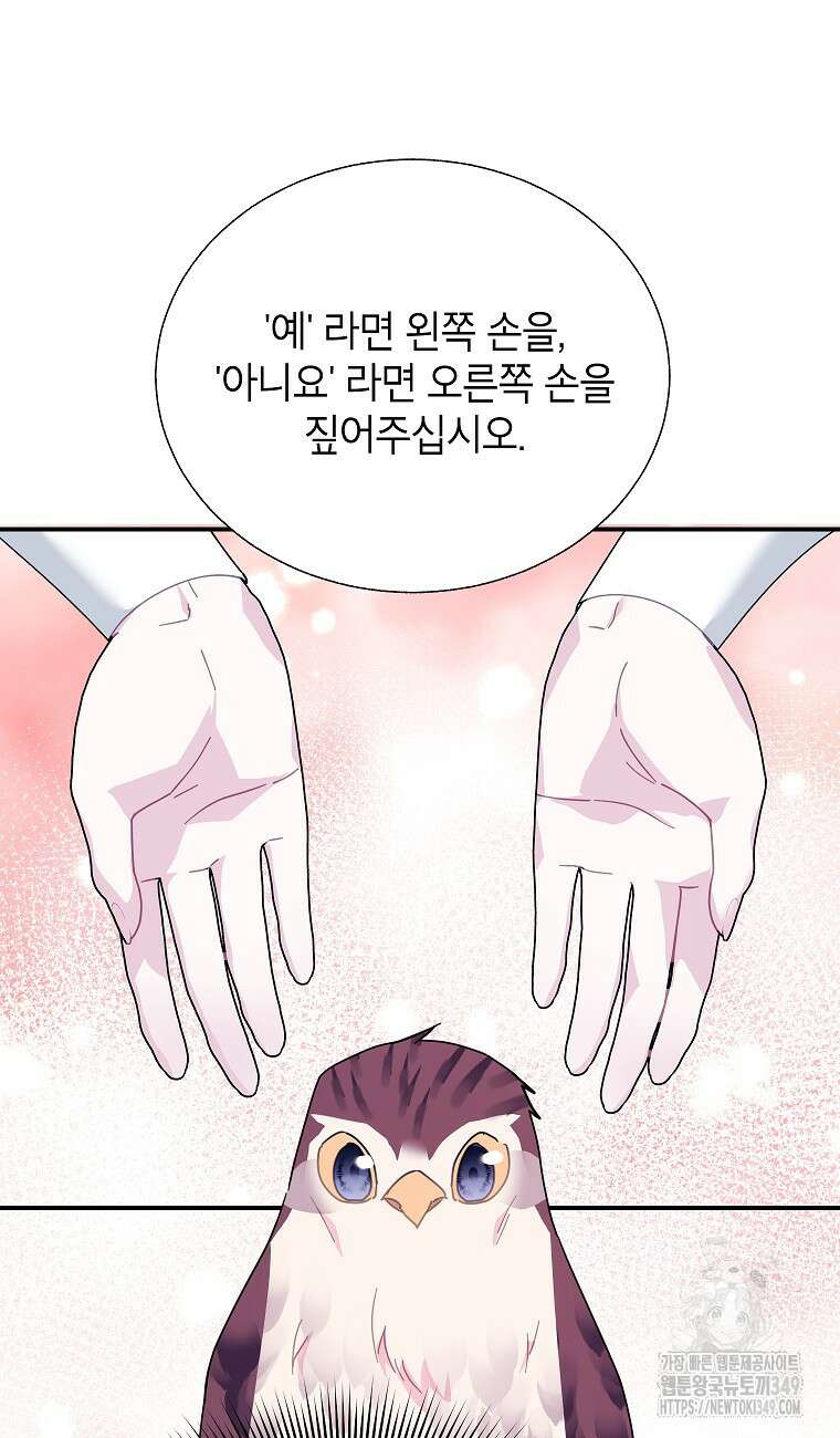 전령새 왕녀님 111화 8