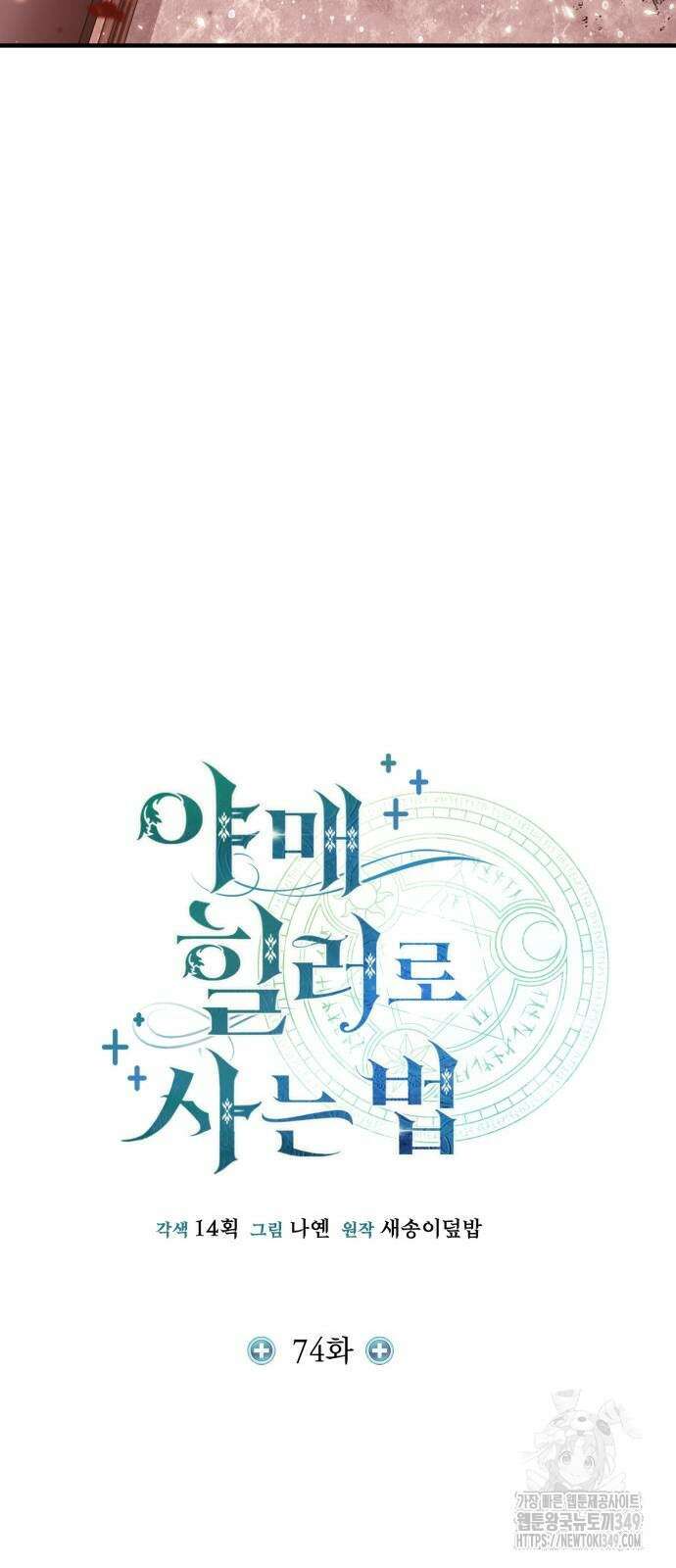 야매 힐러로 사는 법 74화 10