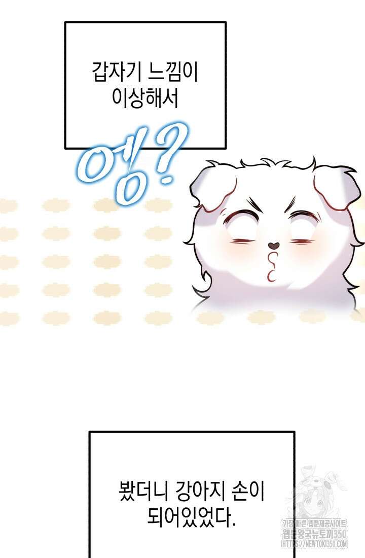 나의 수컷 강아지 53화 28