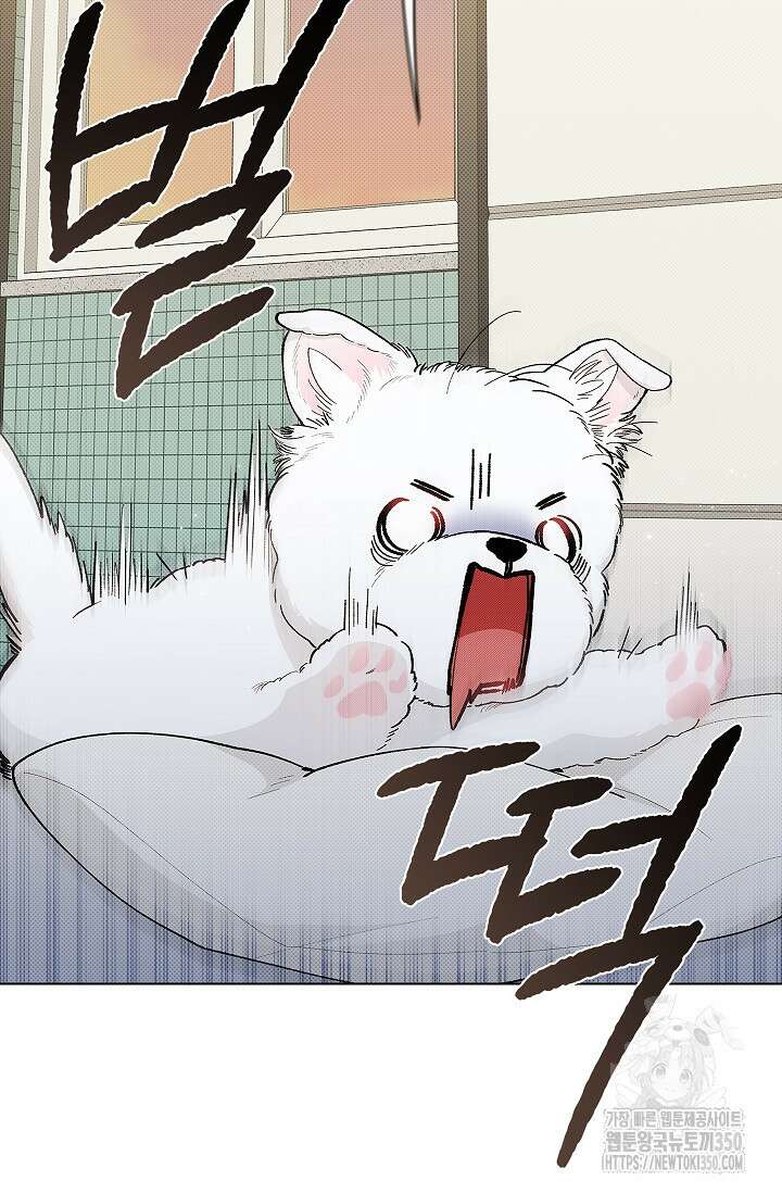 강아지는 건드리지 마라 1화 20