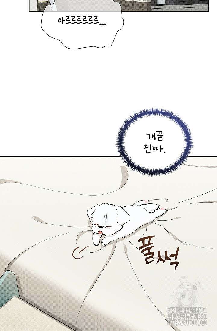 강아지는 건드리지 마라 1화 23