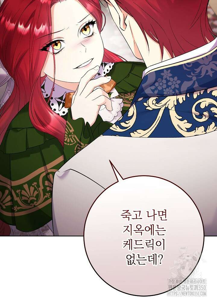 셀럽 레이디 24화 4