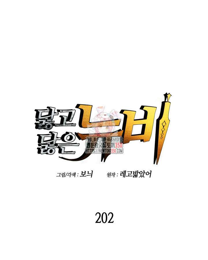 닳고닳은 뉴비 202화 1