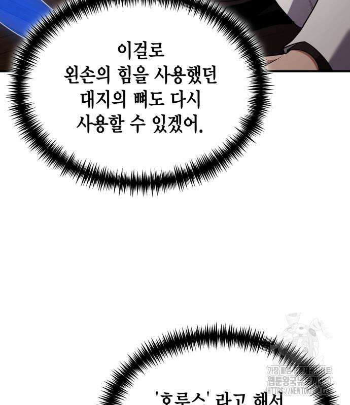 야매 힐러로 사는 법 76화 8