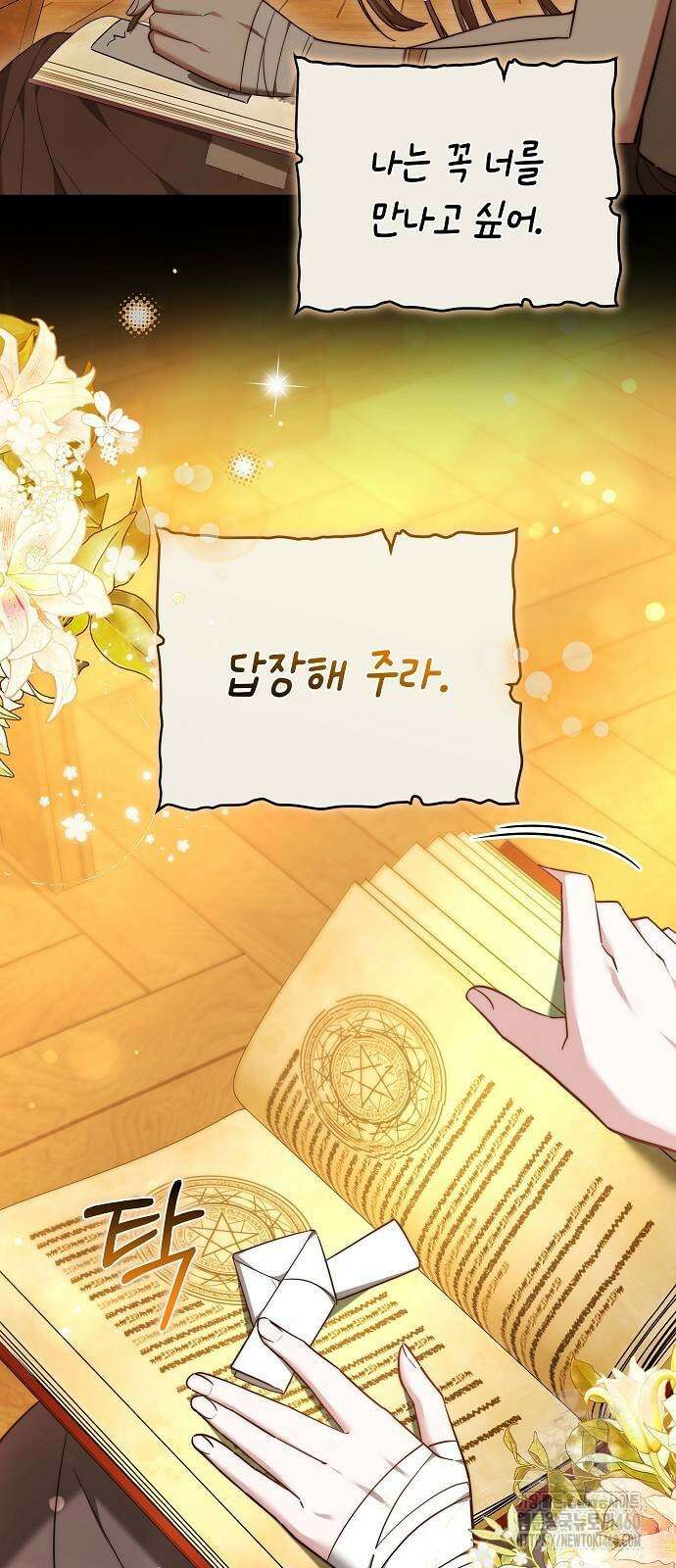 흑요석의 신부 62화 4