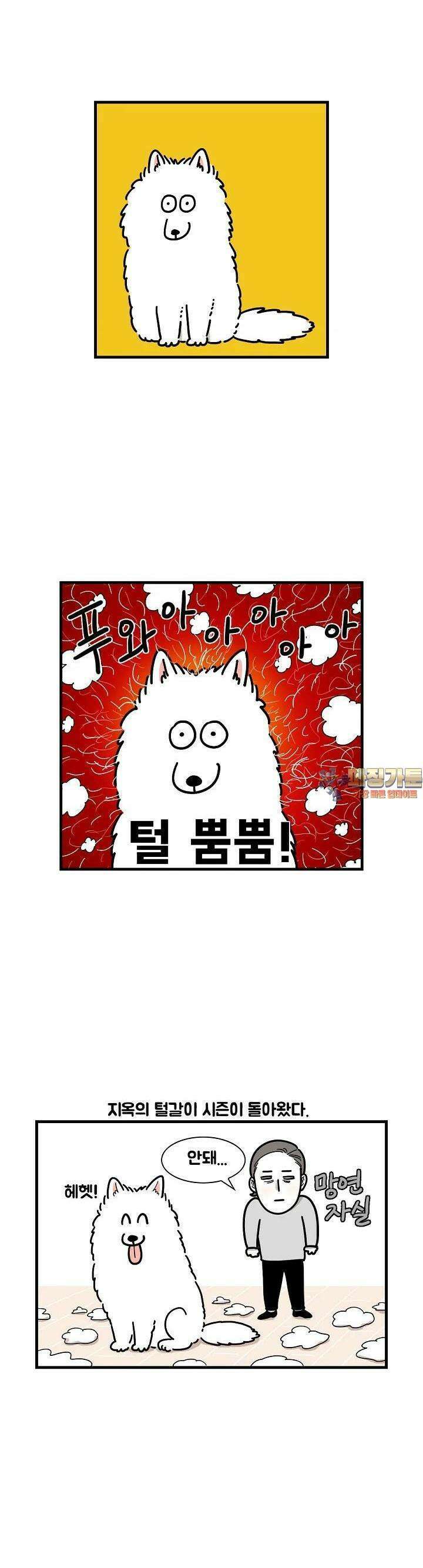 극한견주 1화 털갈이 1