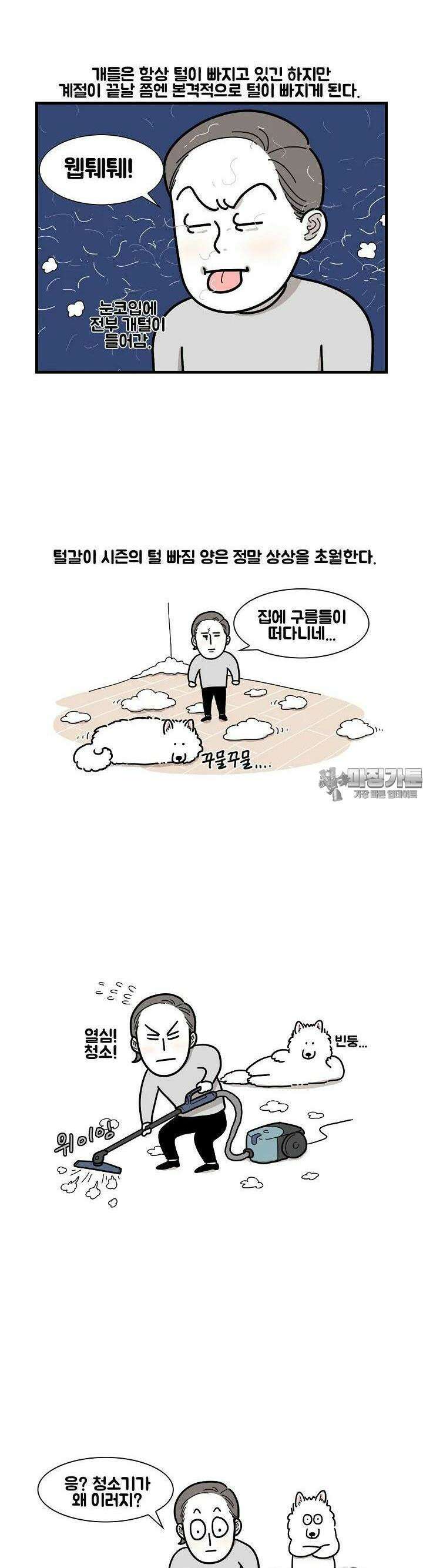 극한견주 1화 털갈이 2