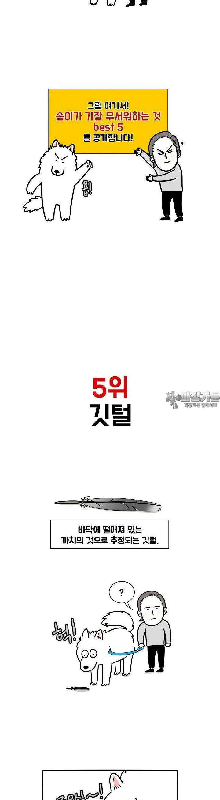 극한견주 8화 든든한 솜이 2