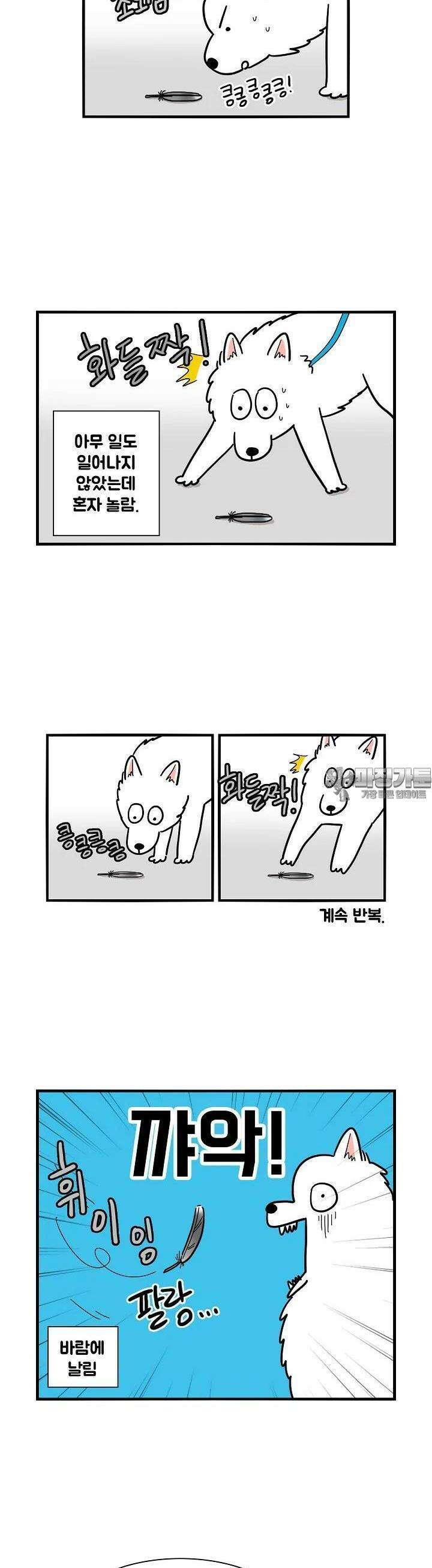 극한견주 8화 든든한 솜이 3