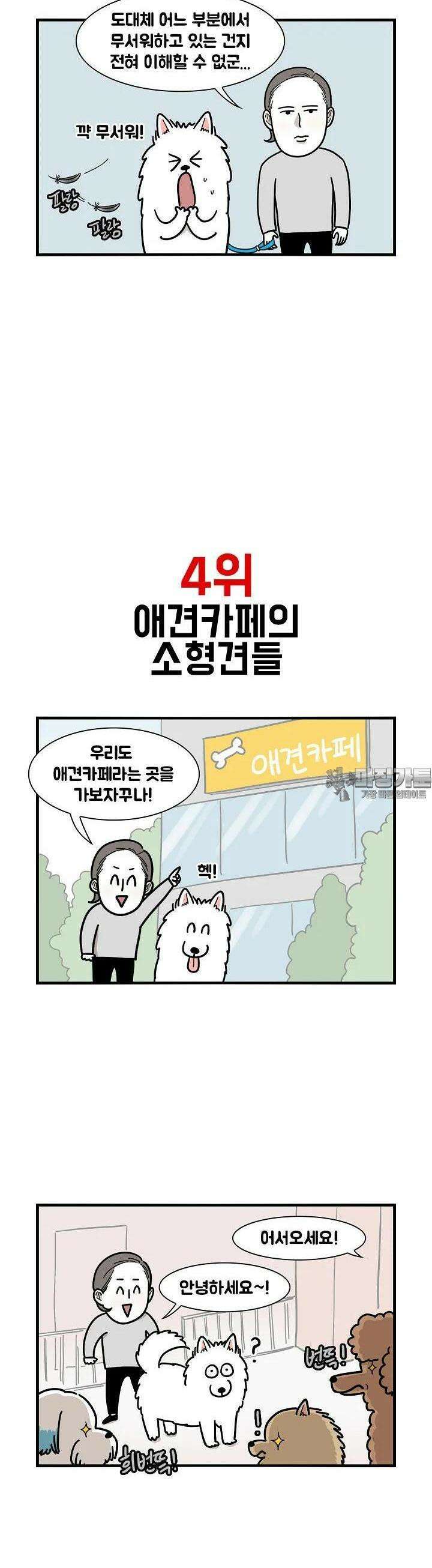 극한견주 8화 든든한 솜이 4