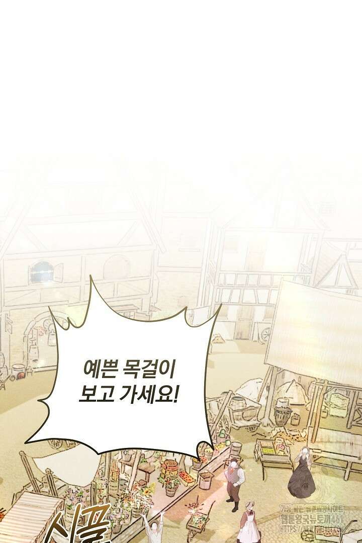 저주받은 공작가의 안주인이 되어 버렸다 46화 15