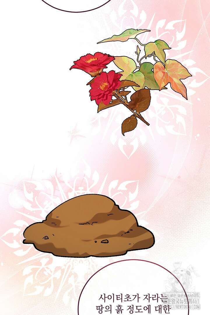 떠난 악녀를 찾지 마세요 82화 30