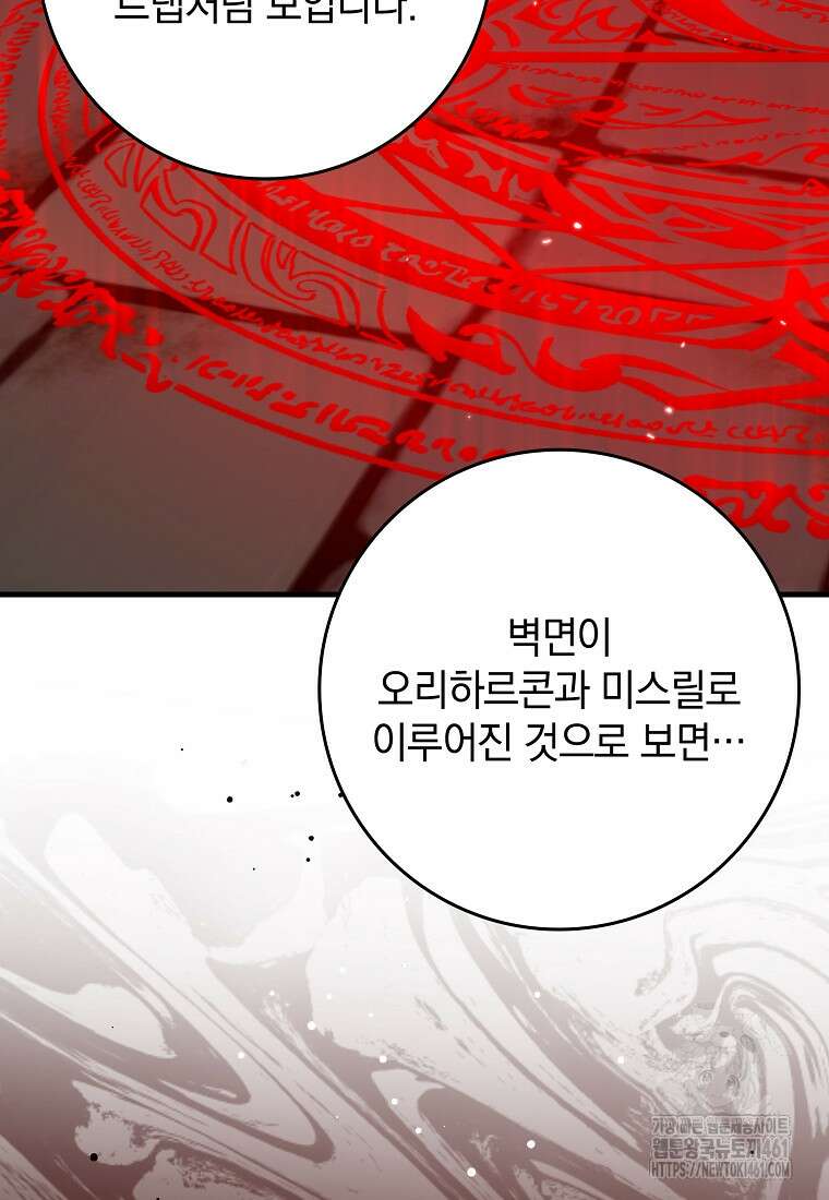 만렙 플레이어 75화 18