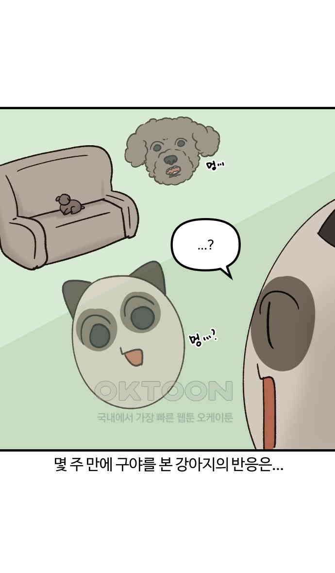 구야는 신입 22화 21
