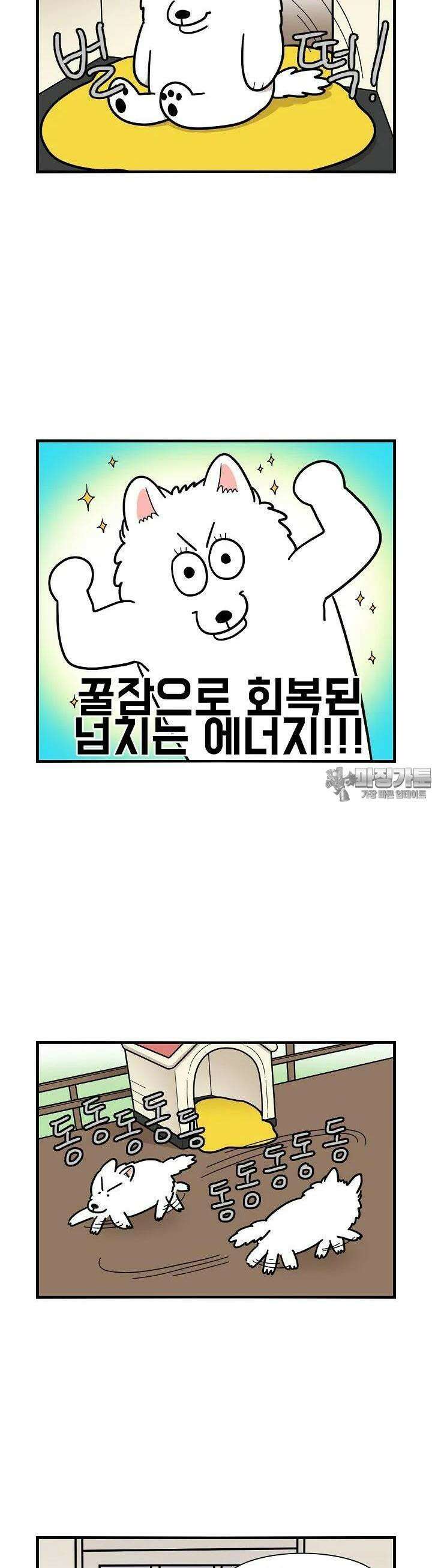 극한견주 26화 밤 2 3