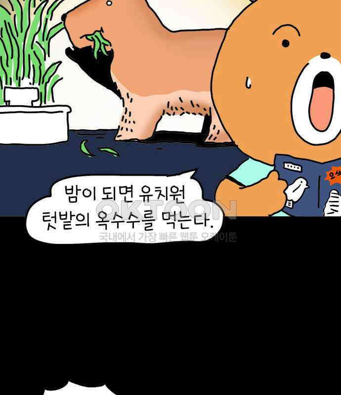 소심한 호랭이 코코  20화 얼굴 없는 새 (1) 8