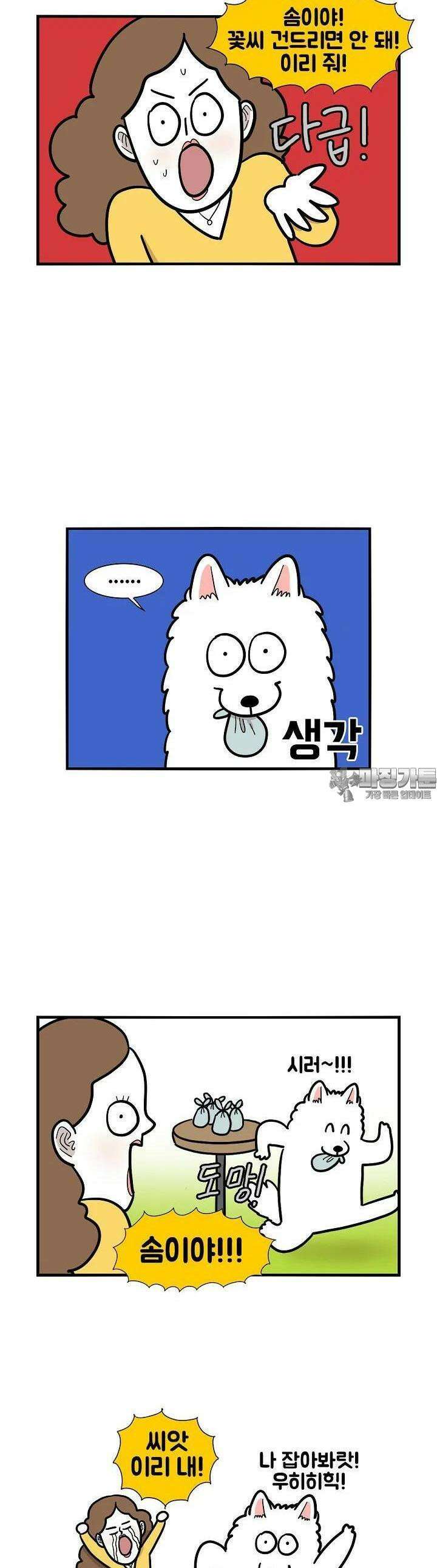 극한견주 35화 마당 4