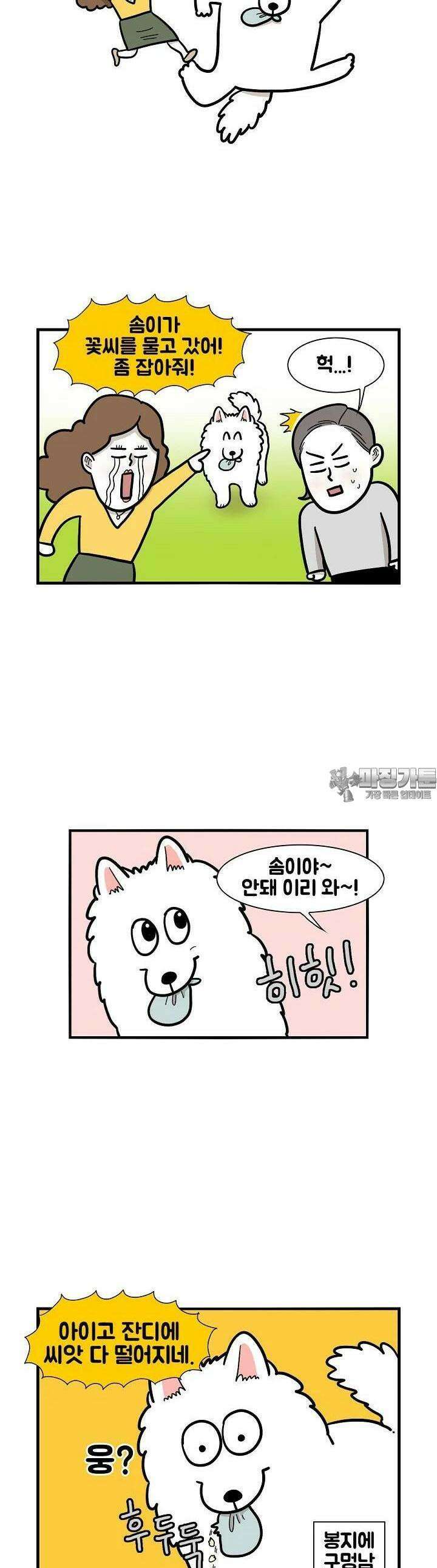 극한견주 35화 마당 5