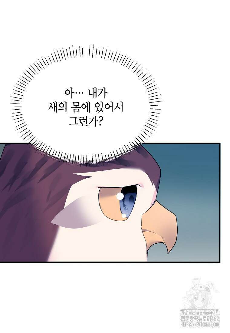 전령새 왕녀님 116화 17