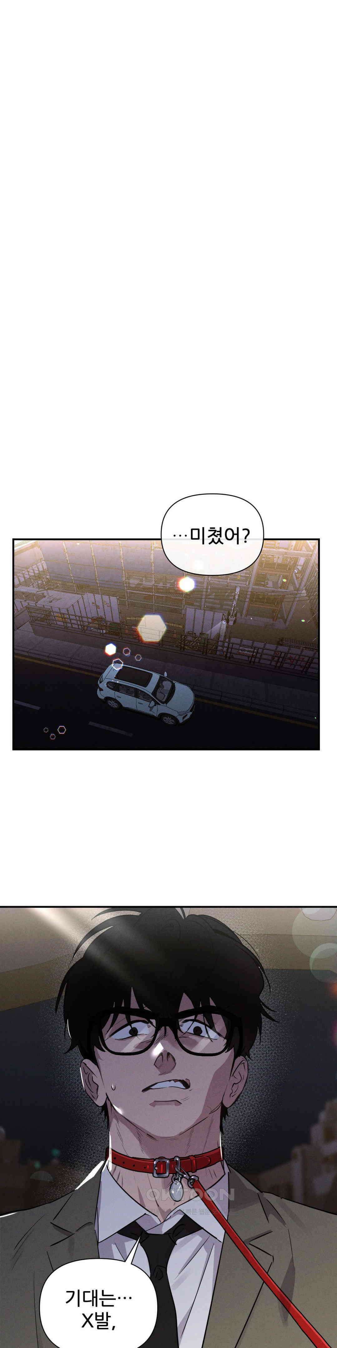 완벽한 목줄 12화 1