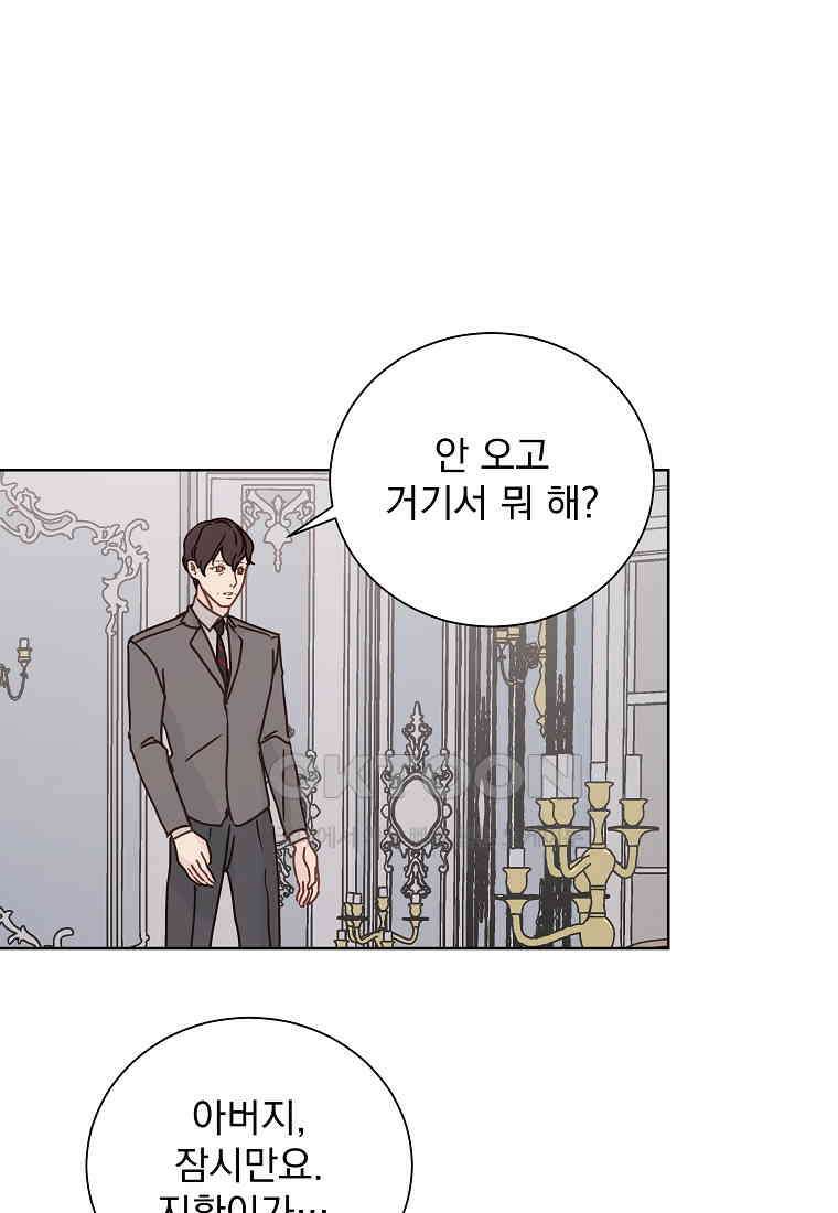 해 밝은 밤의 산책 42 1