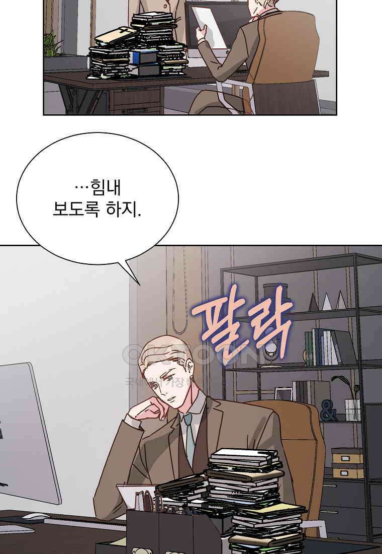 해 밝은 밤의 산책 60 8