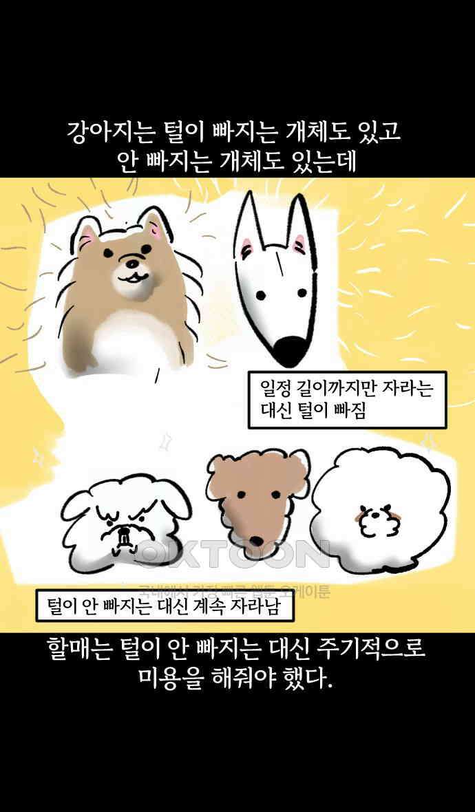 개집사 6화 모발은 소중하니까요 4