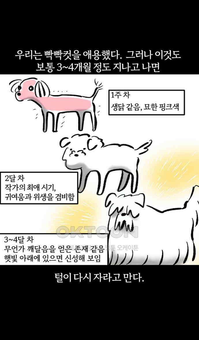 개집사 6화 모발은 소중하니까요 5