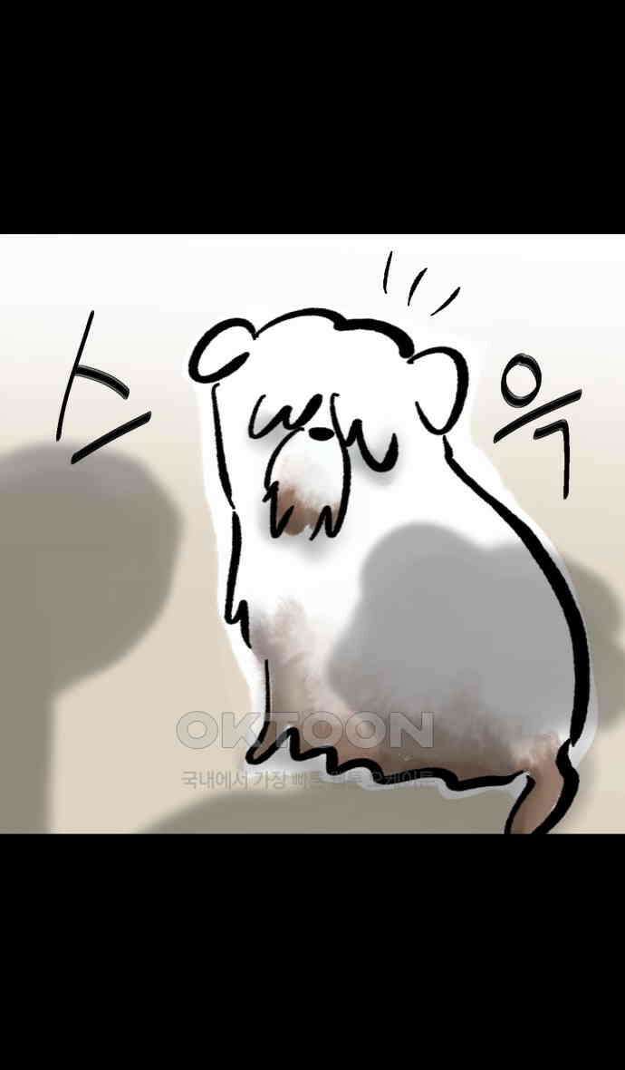 개집사 6화 모발은 소중하니까요 12