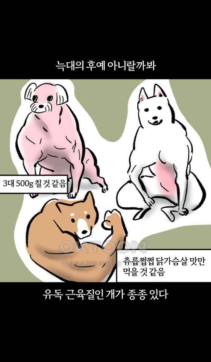 개집사 11화 회원님 운동하셔야죠 18