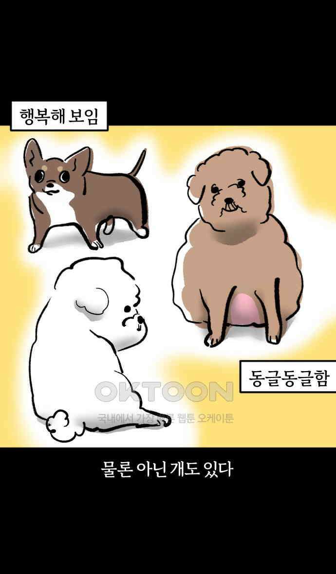 개집사 11화 회원님 운동하셔야죠 19