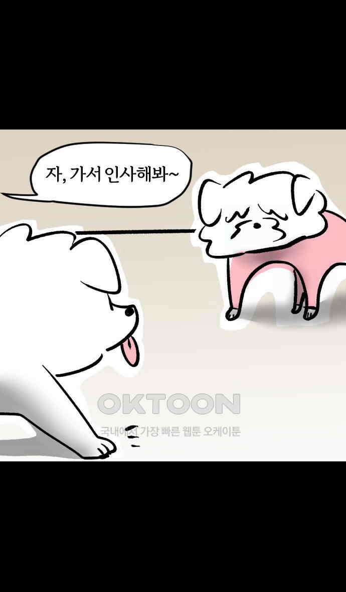개집사 17화 세상을 왕따시키다 15