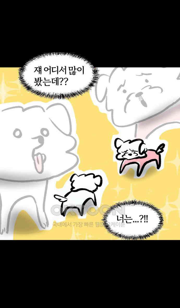 개집사 17화 세상을 왕따시키다 16