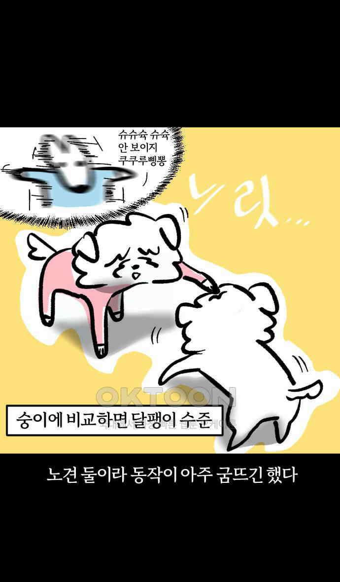 개집사 17화 세상을 왕따시키다 21