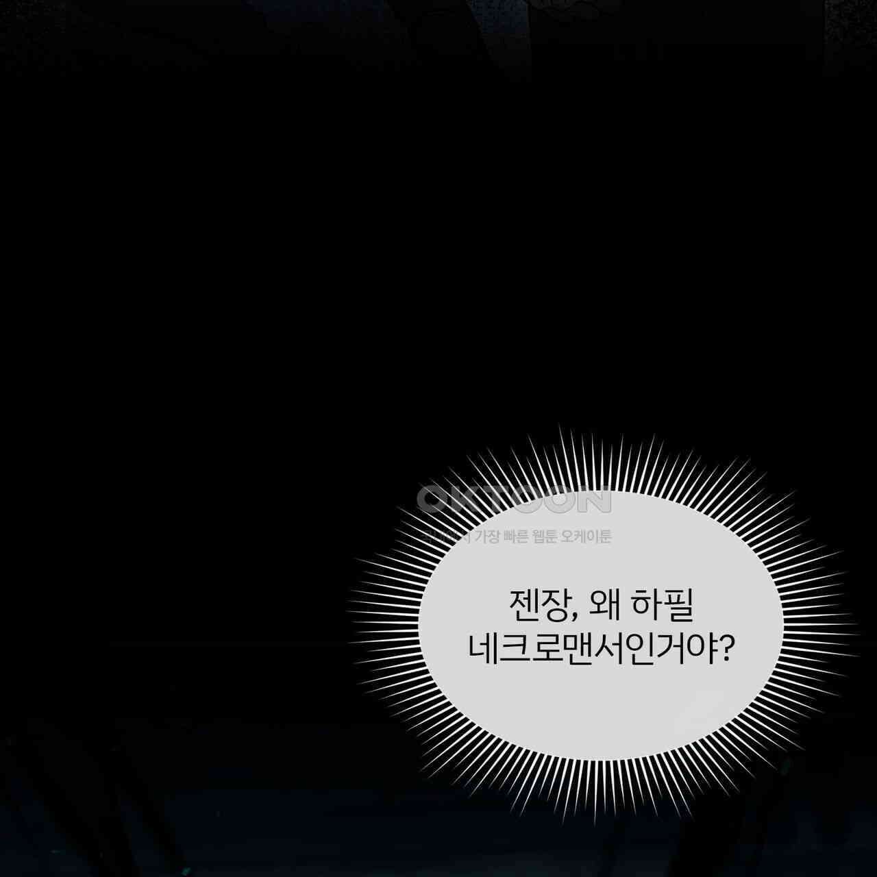 철혈의 네크로맨서가 귀환했다 11화 7