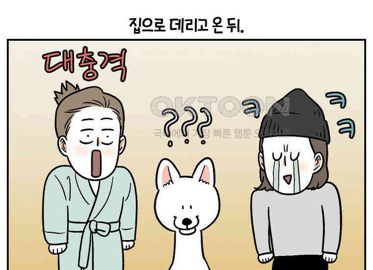 극한견주 시즌2 2화 면봉 미용 후기 3