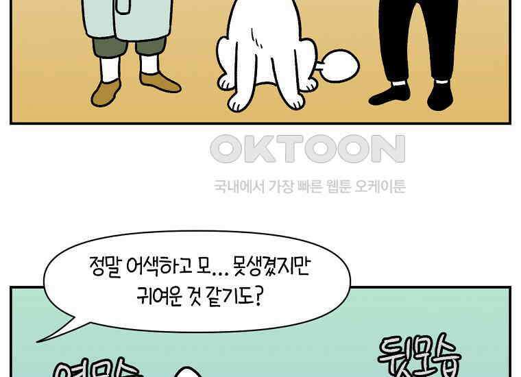 극한견주 시즌2 2화 면봉 미용 후기 4