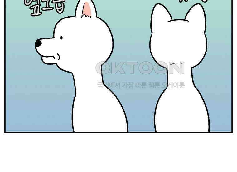 극한견주 시즌2 2화 면봉 미용 후기 5