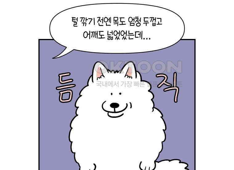 극한견주 시즌2 2화 면봉 미용 후기 6