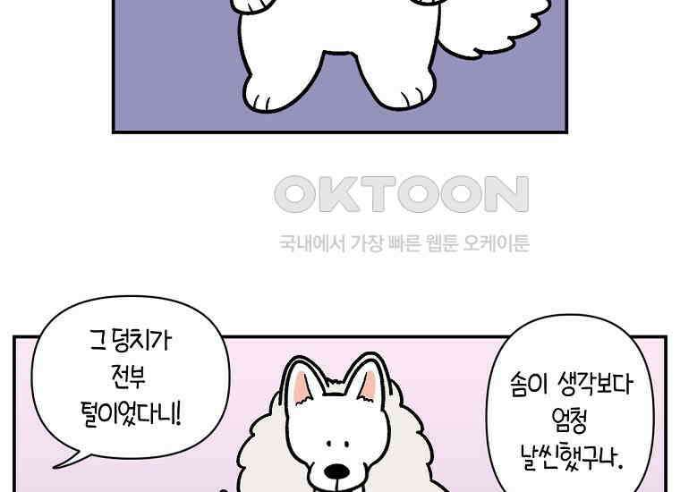 극한견주 시즌2 2화 면봉 미용 후기 7