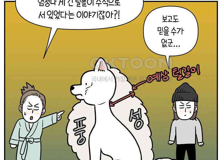 극한견주 시즌2 2화 면봉 미용 후기 9