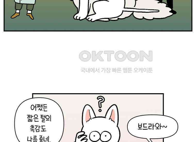 극한견주 시즌2 2화 면봉 미용 후기 10