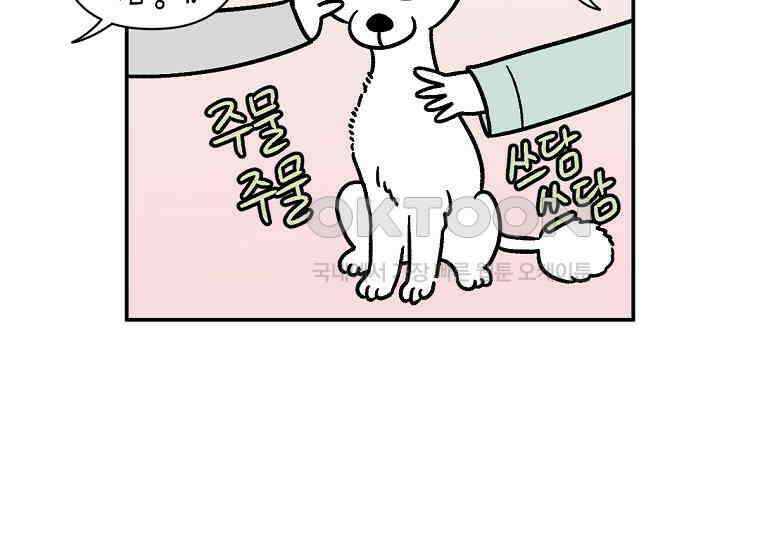 극한견주 시즌2 2화 면봉 미용 후기 11